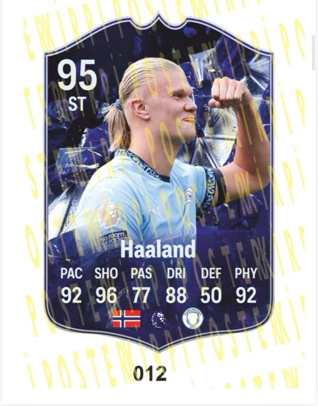 HAALAND AHŞAP FİFA FUTBOLCU BİBLOSU-012