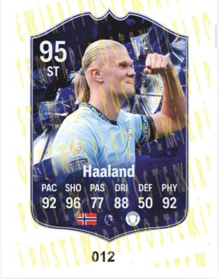 HAALAND AHŞAP FİFA FUTBOLCU BİBLOSU-012